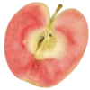 🍎 Эмодзи «౨ৎ ˖˚⊹» для Telegram