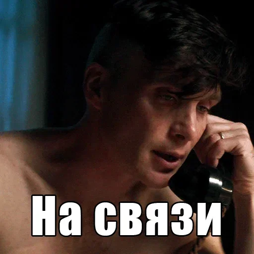 🤙 Стикер «shelbu» для Telegram