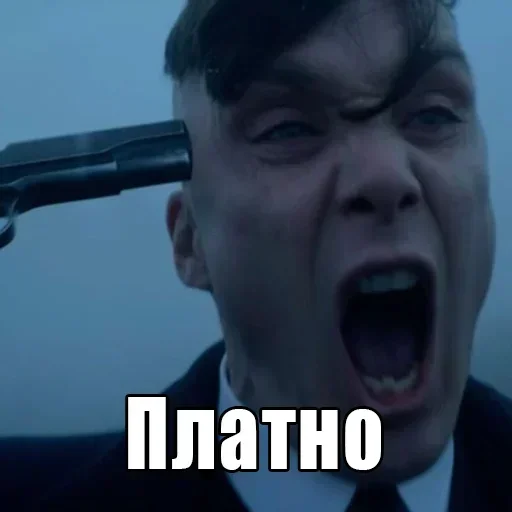 👌 Стикер «shelbu» для Telegram