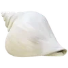🌟 Эмодзи «Ракушки» для Telegram