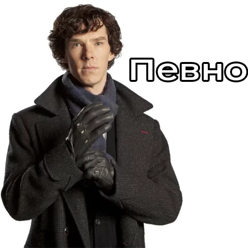 Шербук Холмс