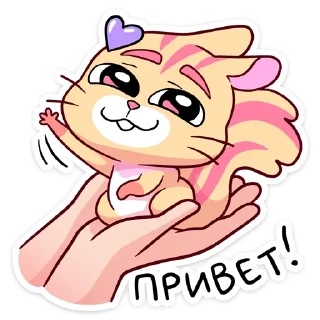👋 Стикер «Ши» для Telegram