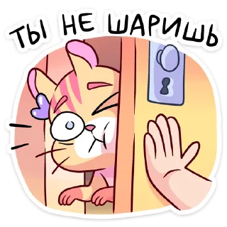 🙅‍♂ Стикер «Ши» для Telegram
