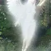 🌟 Эмодзи «shine #girl» для Telegram