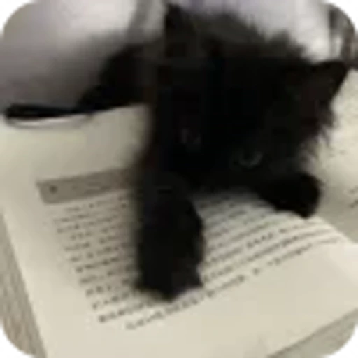🐱 Эмодзи «shine» для Telegram