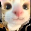😺 Эмодзи «shithole» для Telegram