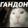 😈 Эмодзи «shithole» для Telegram