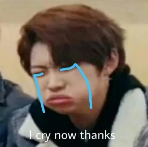 😭 Стикер «3퍼머이끄 / stray kids» для Telegram