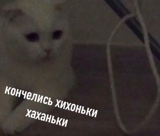 🙂 Стикер «shiziky» для Telegram