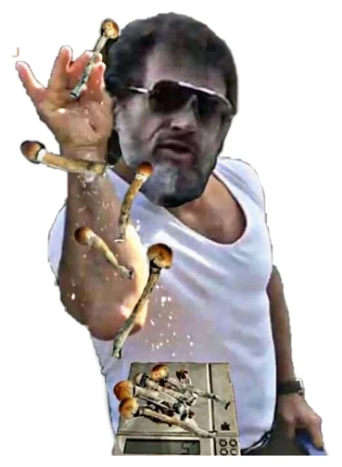 😎 Стикер «Shizoterika» для Telegram
