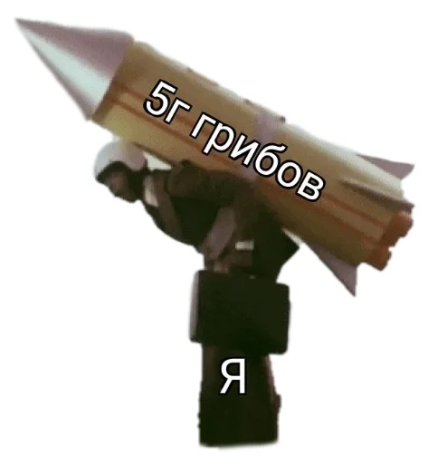 🚀 Стикер «Shizoterika» для Telegram