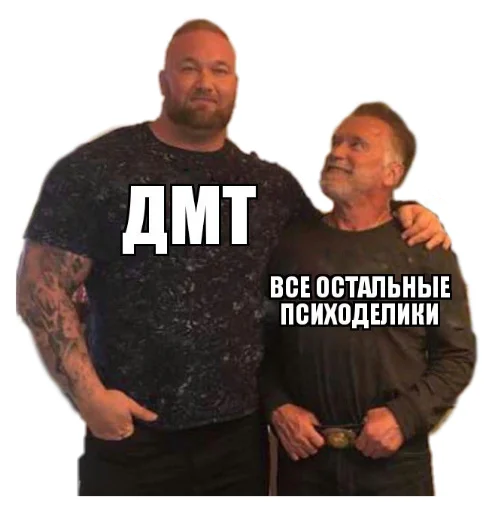 💪 Стикер «Shizoterika» для Telegram