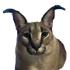 🐱 Эмодзи «😏 Шлёпа» для Telegram
