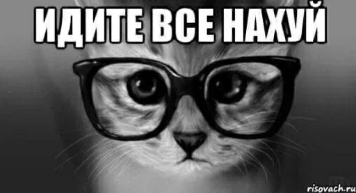 🤍 Стикер «shlrona» для Telegram