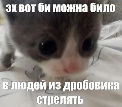 ❤️ Стикер «shlrona» для Telegram