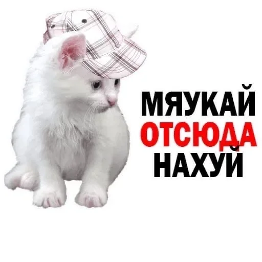 🐜 Стикер «shlrona» для Telegram