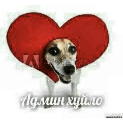 🤍 Стикер «shlrona» для Telegram