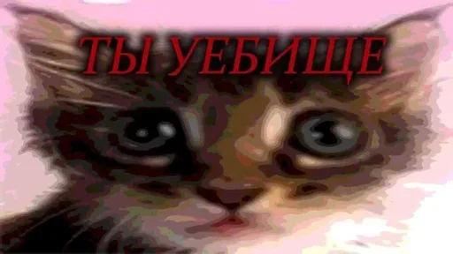 🤍 Стикер «shlrona» для Telegram