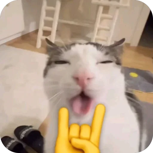 🤘 Стикер «shnikss» для Telegram