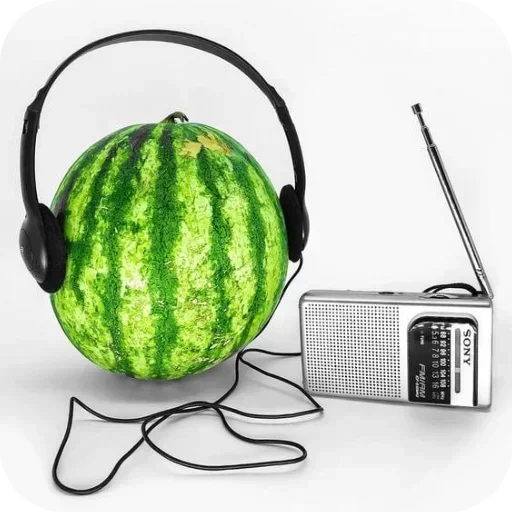 🍲 Стикер «shnikss» для Telegram