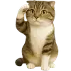 🫡 Эмодзи «Шотландский кот» для Telegram