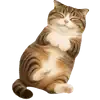 🫠 Эмодзи «Шотландский кот» для Telegram