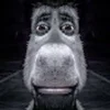 👾 Эмодзи «SHREK» для Telegram