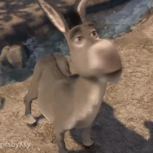 ❌ Стикер «Шрек / Shrek» для Telegram
