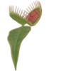 🥀 Эмодзи «Shroomsnfrens» для Telegram