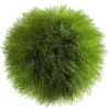 🌿 Эмодзи «Shroomsnfrens» для Telegram