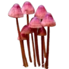 🍄 Эмодзи «Shroomsnfrens» для Telegram