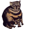 🐈 Эмодзи «Shroomsnfrens» для Telegram