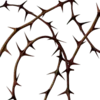 🥀 Эмодзи «Shroomsnfrens» для Telegram