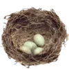 🪺 Эмодзи «Shroomsnfrens» для Telegram