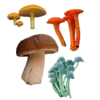 🍄 Эмодзи «Shroomsnfrens» для Telegram