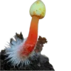 🍄 Эмодзи «Shroomsnfrens» для Telegram