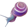 🐌 Эмодзи «Shroomsnfrens» для Telegram
