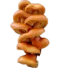 🍄 Эмодзи «Shroomsnfrens» для Telegram