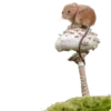 🍄 Эмодзи «Shroomsnfrens» для Telegram