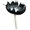 🍄 Эмодзи «Shroomsnfrens» для Telegram