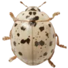 🪲 Эмодзи «Shroomsnfrens» для Telegram