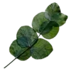 🌿 Эмодзи «Shroomsnfrens» для Telegram