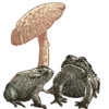 🐸 Эмодзи «Shroomsnfrens» для Telegram