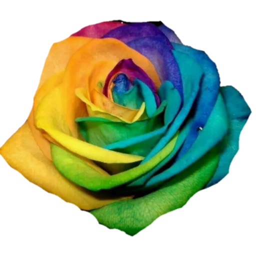 🌹 Стикер «فواصل ويزيدنا القرآن خشوعا2» для Telegram