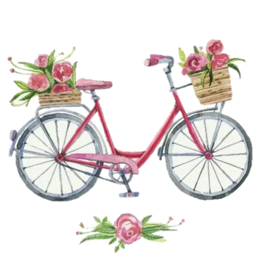 🚲 Стикер «فواصل ويزيدنا القرآن خشوعا2» для Telegram