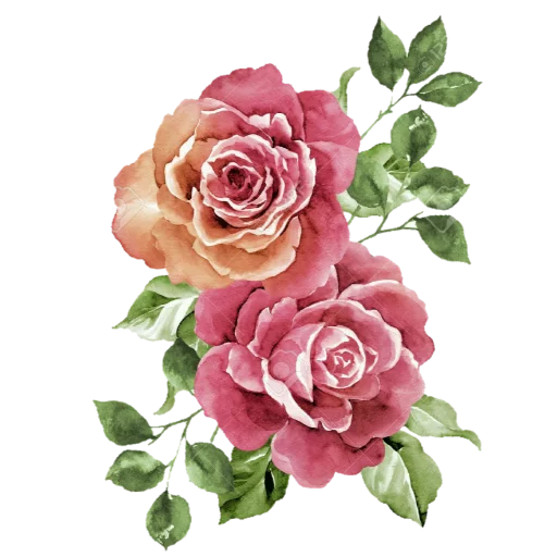 🌹 Стикер «فواصل ويزيدنا القرآن خشوعا2» для Telegram
