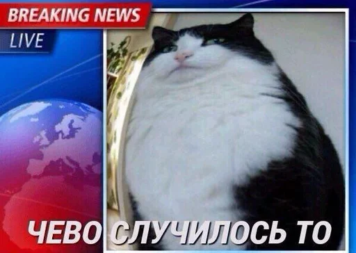 😥 Стикер «Шучу как хочу» для Telegram