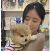 🤩 Эмодзи «E Shuhua 3» для Telegram
