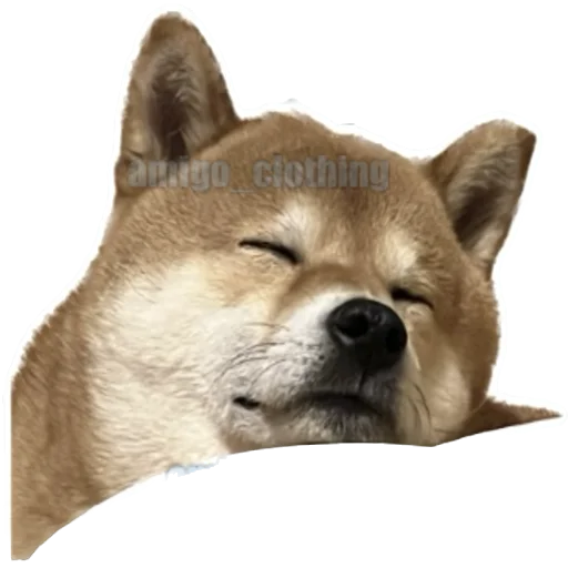 😴 Стикер «Siba deni» для Telegram