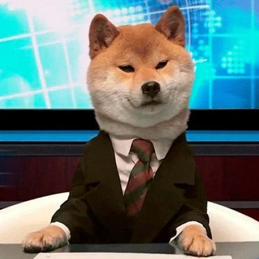 🐶 Стикер «Shiba inu» для Telegram